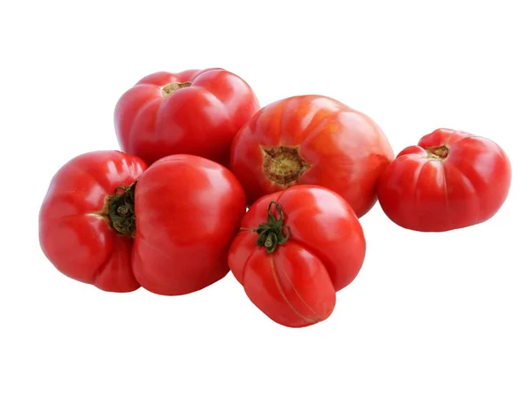 Czerwone Smaczne Pomidory Sałatki Lub Masy Gotującej — Zdjęcie stockowe