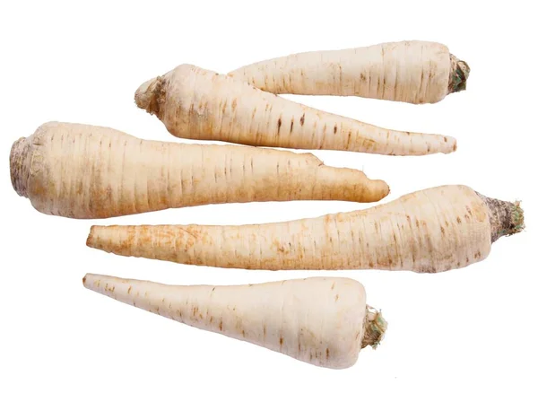 Roots Parsley Petroselinum Vegetable Close — Stock Photo, Image