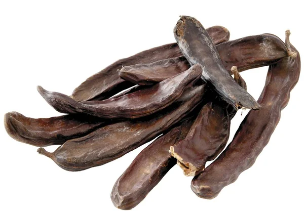 红豆树的褐色干皮 用作食物调味品 — 图库照片