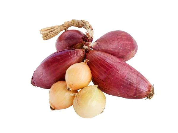 Red White Kind Onions Close — Stock Photo, Image