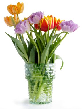 İlkbahar gibi güzel laleler Güzel çiçekler kapanıyor