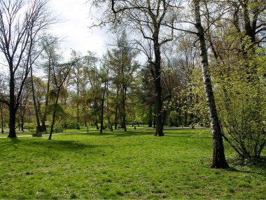 İlkbaharda doğanın ve ağaçların çeşitli manzaraları