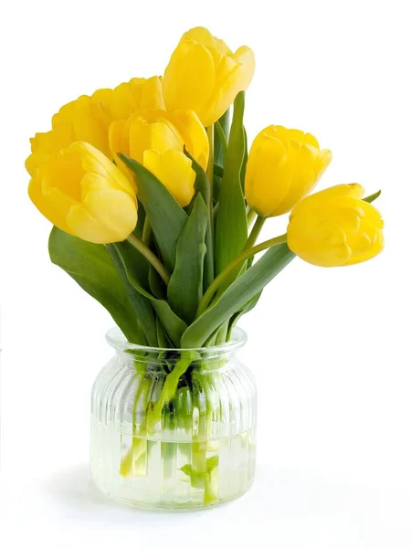 Желтые Тюльпаны Весной Близко — стоковое фото