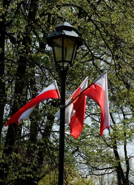 Baharda parkta beyaz ve kırmızı Polonya bayrakları