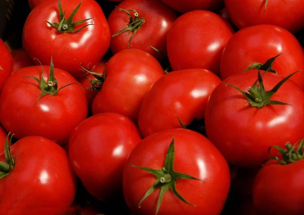 Vermelho Saboroso Tomates Maduros Perto — Fotografia de Stock
