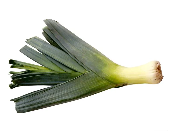 Poireau Légume Avec Tige Blanche Feuilles Vertes — Photo