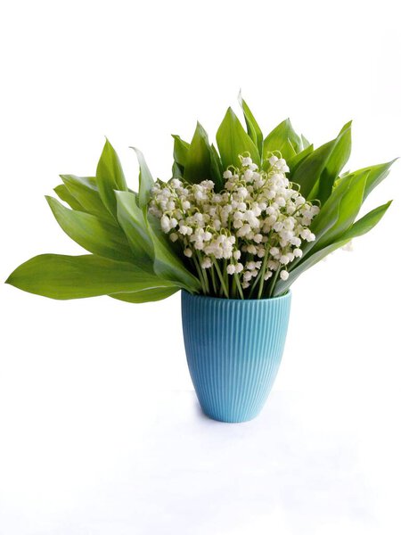 posy of white spring flowers lily-of-the-valley