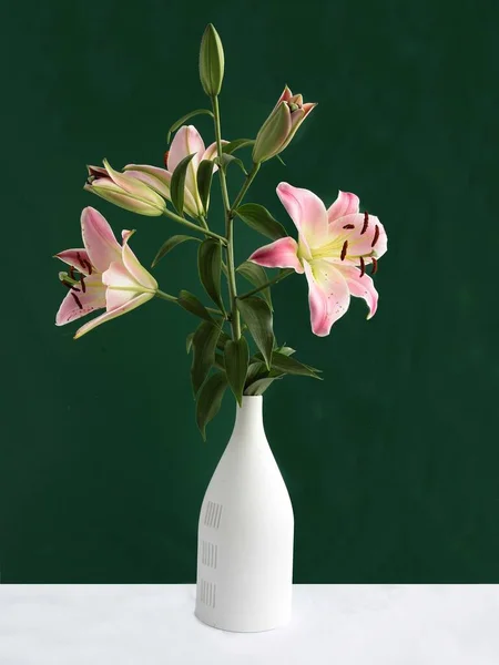 Pretty Pink Lilies Buds Blooming Summer Close — Fotografia de Stock