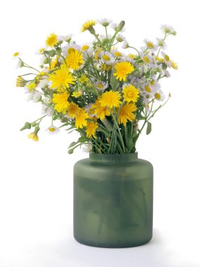 multicolor various wild flowers from meadow in summer