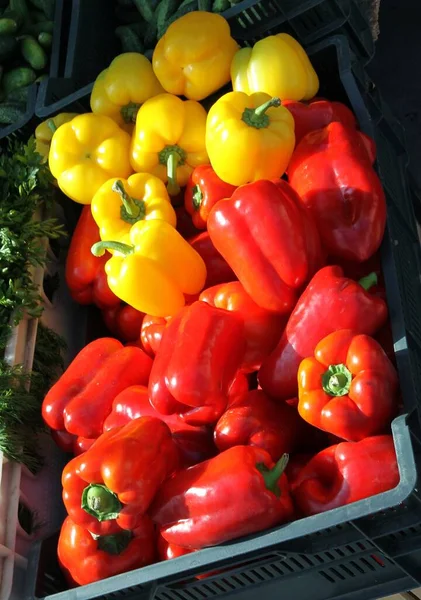various multicolor vegetables for eating,cooking meals and salads close up
