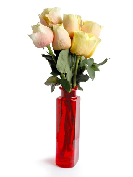 Posy Rosas Bonitas Jarrón Cristal Rojo Aislado — Foto de Stock