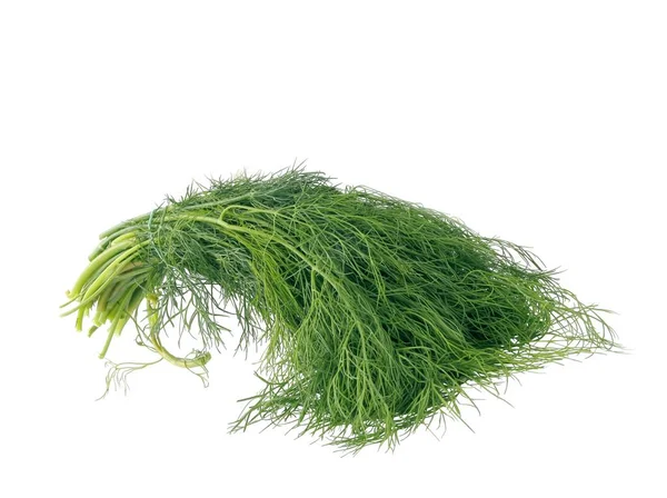 Verdura Folha Endro Verde Como Condimento Ervas Especiarias Para Cozinhar — Fotografia de Stock