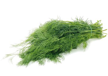 yeşil dereotu yaprağı bitkisel ve baharatlı baharat gibi yemek pişirmek için.