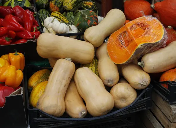 Verschiedene Bunte Kürbisse Als Schmackhafte Und Gesunde Vegetarische Kost — Stockfoto