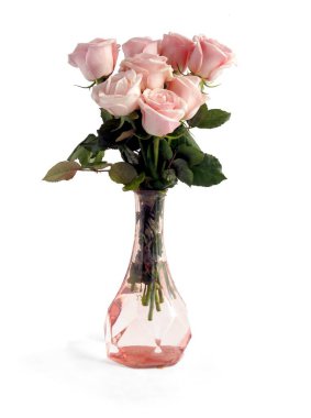 Güzel pembe gül yakından izole edilmiş.