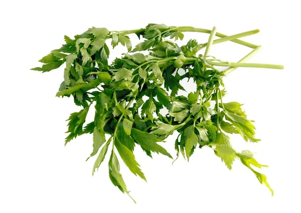 Grüne Liebstöckel Als Aromatisches Kraut Zum Kochen Von Mahlzeiten — Stockfoto