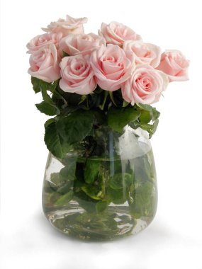 Yazın bahçeden güzel bir gül. Yaklaş.