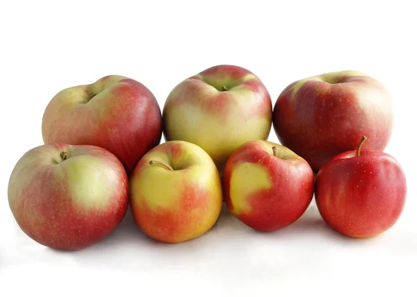 果樹園近くのおいしいリンゴ — ストック写真