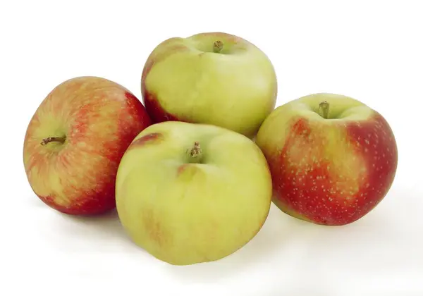 Diverse Veelkleurige Smakelijke Appels Uit Tuin Close — Stockfoto