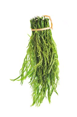 Genç akasya yaprak sebze yemek için