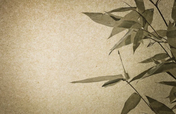 Brown paper and Bamboo leaf texture background — Stock Photo, Image