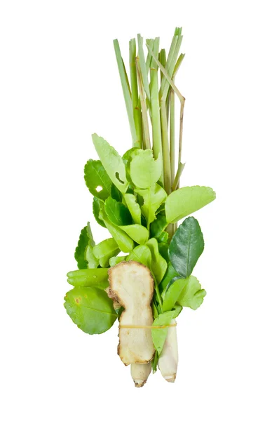 Mix of thai herb cuisine — Stock Photo, Image