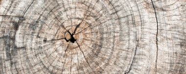 ahşap desen arka plan