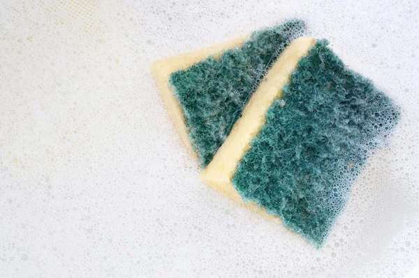 Sponge untuk hidangan kliring — Stok Foto