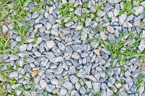 Piso de pedra textura da natureza detalhe — Fotografia de Stock