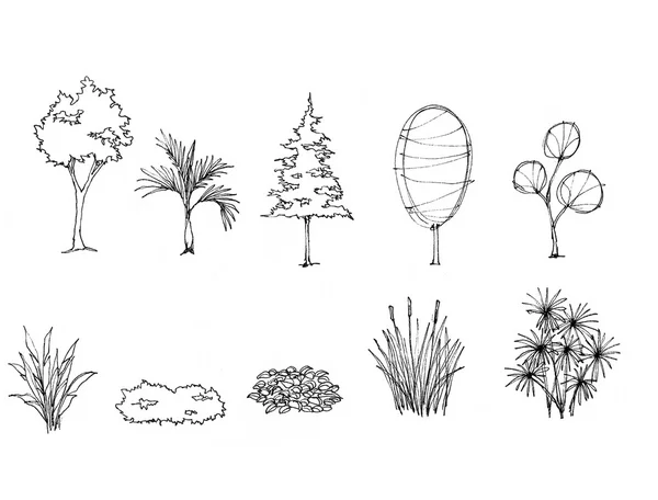 Desenho de árvore para jardim decorar — Fotografia de Stock