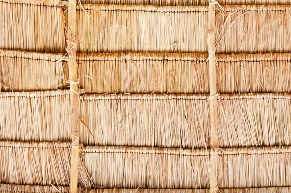 Vetiver Grass Roof detail — Stock Photo, Image