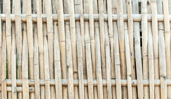 Bambus des Muster-Designs für Hintergrund — Stockfoto