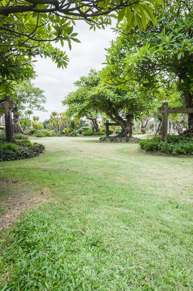 Paisaje de jardín con un césped recién cortado —  Fotos de Stock