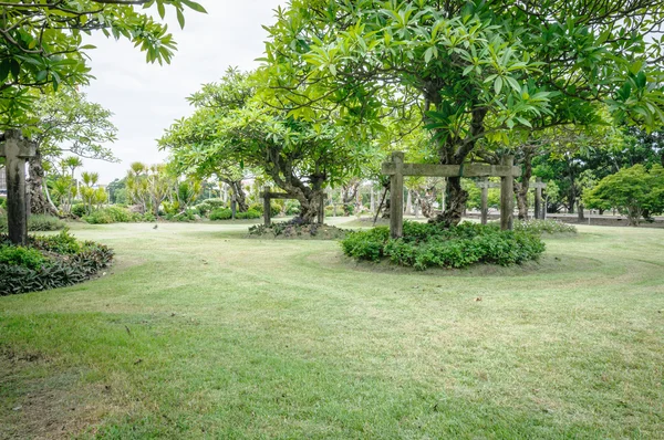 Ландшафт сада со свежевыкошенным лавровым листом — стоковое фото