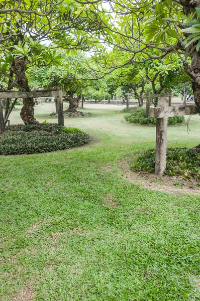 Paisaje de jardín con un césped recién cortado —  Fotos de Stock