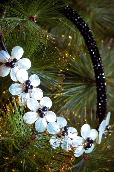 Beautiful necklace on a branch of fir — Stock Photo, Image