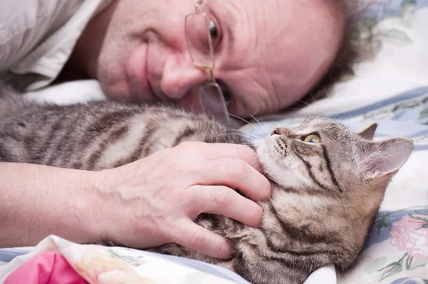 Mann Haustiere eine schottisch-gerade grau schöne Katze — Stockfoto