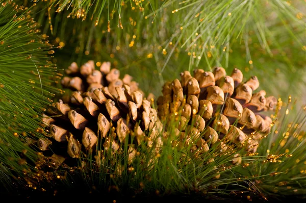 Decorazioni natalizie e pigna — Foto Stock