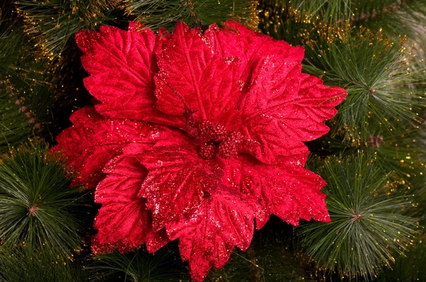 Beautiful color christmas decorations hanging on christmas tree with shiny glare — Stock Photo, Image