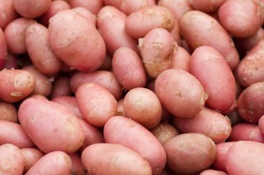 pembe patates