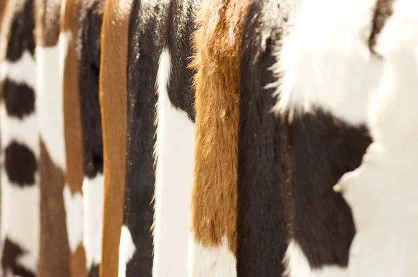 茶色の牛の毛皮の背景 — ストック写真