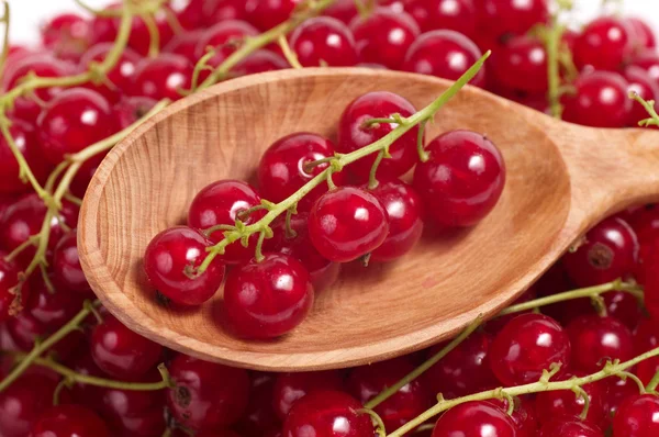 Frische rote Johannisbeeren auf einem Holzlöffel — Stockfoto