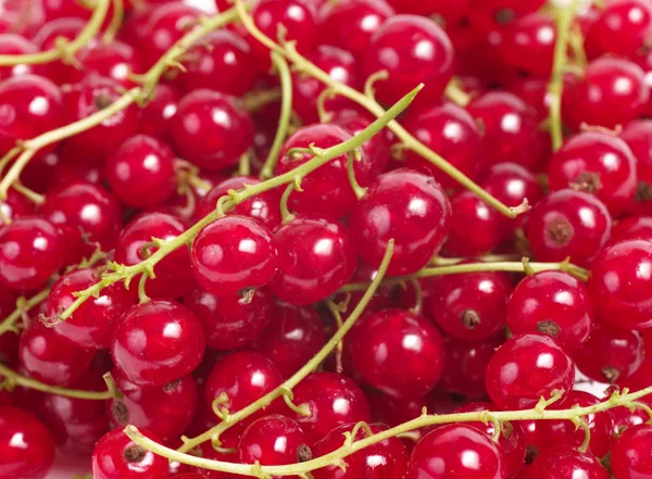 Röda vinbär bär nära upp, färgstarka frukt bakgrund — Stockfoto
