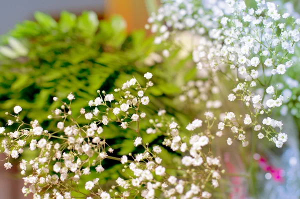 Lindas flores de casamento — Fotografia de Stock