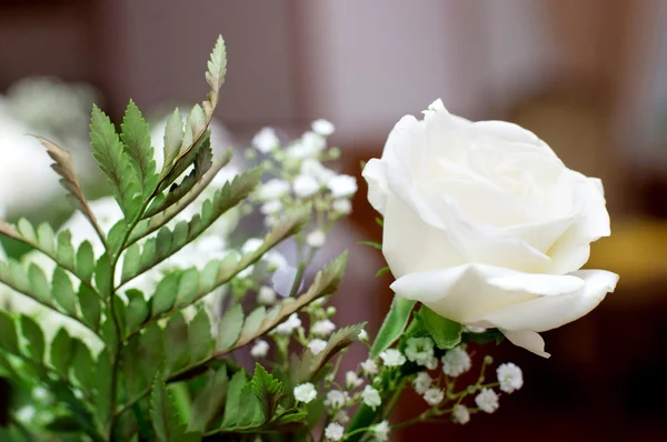 Krásné svatební růže — Stock fotografie