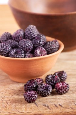 BlackBerry kil kase
