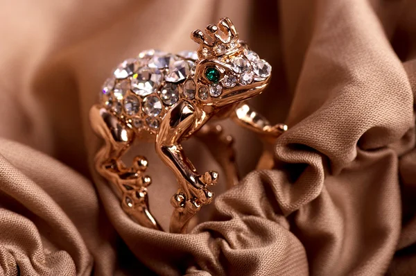 Beautiful jewelry frog — Stock Photo, Image