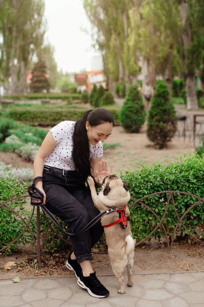 Νεαρό Κορίτσι Πηγαίνει Για Βόλτα Σκυλάκι Στο Πάρκο Κάθεται Στο — Φωτογραφία Αρχείου