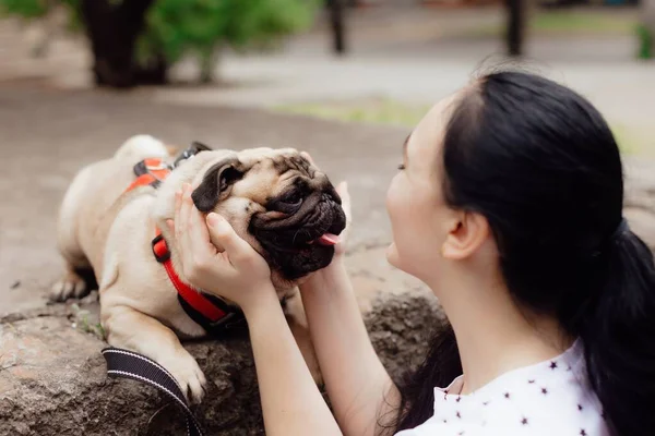 Young Girl Goes Walk Doggy Pug Park Sitting Grass Playing — Stock Photo, Image