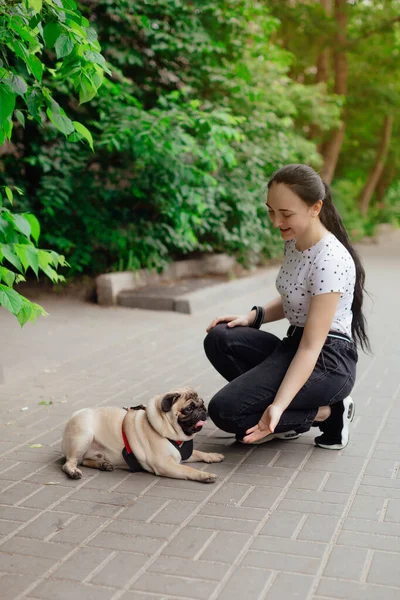 Rapariga Vai Para Passeio Com Cachorrinho Pug Parque Sentado Grama — Fotografia de Stock